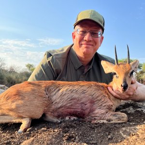 Steenbok Hunt South Africa