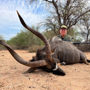 Nyala Hunt South Africa