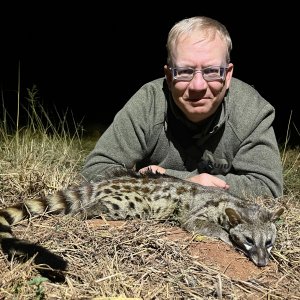 Spotted Genet Hunt South Africa