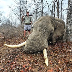 Elephant Hunt Mozambique