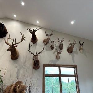 Trophy Room