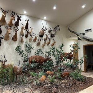 Trophy Room