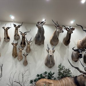 Trophy Room