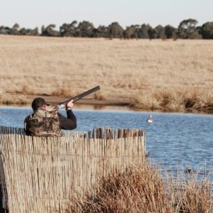 Waterfowl shooting South Africa