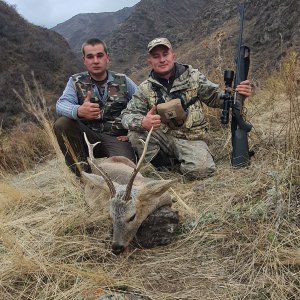 Roe Deer Hunt Kazakhstan