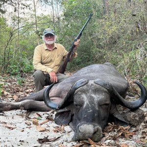 Buffalo Hunt Tanzania