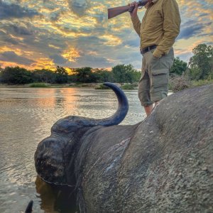 Buffalo Hunt Tanzania