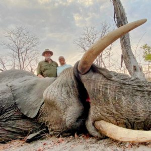 Elephant Hunt Zimbabwe