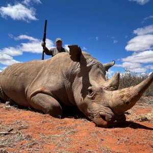 White Rhino Hunt Northern Cape South Africa