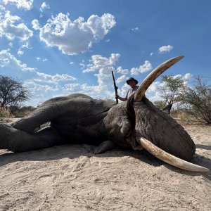 Elephant Hunt Botswana