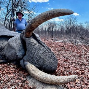 Elephant Hunt Botswana