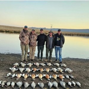 Season for Bird Hunting South Africa