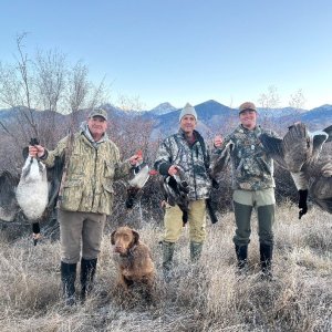 Bird Hunting Utah