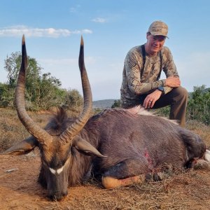 Nyala Hunt Eastern Cape South Africa