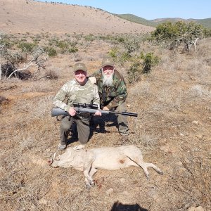 Warthog Hunt Eastern Cape South Africa