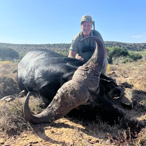 Buffalo Hunt Eastern Cape South Africa