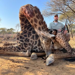 Giraffe hunt North West Province