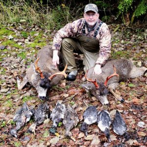 Sitka Blacktail Deer & Ducks Hunt Prince of Wales