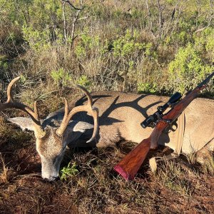 Whitetail Deer Hunt Texoma