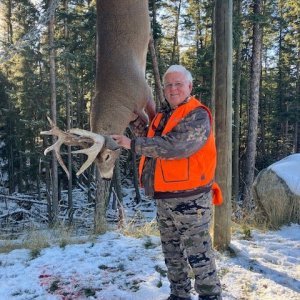 Hunting Whitetail Deer Montana