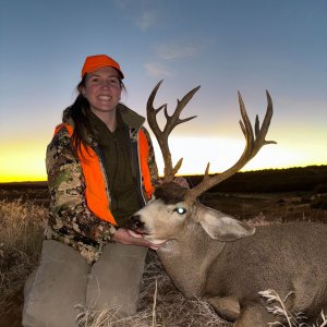 Mule Deer Hunt Colorado