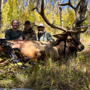 Elk Hunt Colorado