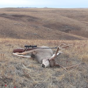 Pronghorn Hunt