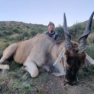 Eland Hunting Eastern Cape South Africa