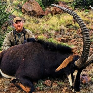 Sable Hunting Eastern Cape South Africa