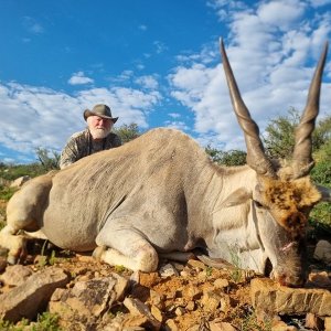 Eland Hunting Eastern Cape South Africa