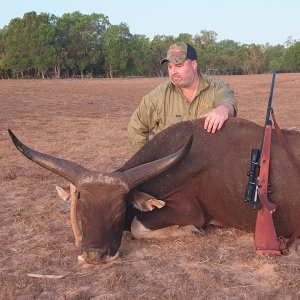 Media 'Banteng Hunting Australia' in category 'Hunting Worldwide'