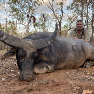 Water Buffalo Hunting Australia