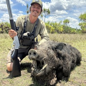 Pig Hunting Australia