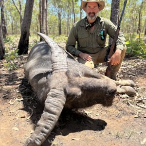 Water Buffalo Hunting Australia