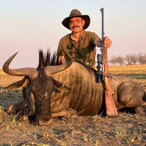 Blue Wildebeest Hunt Namibia