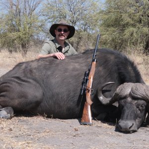 Buffalo Hunt Namibia