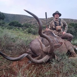 Kudu Hunt Eastern Cape South Africa