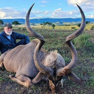 Kudu Hunt Eastern Cape South Africa