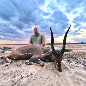 Bushbuck Hunt Mozambique