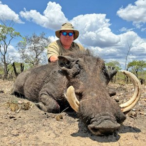 Warthog Hunt Mozambique