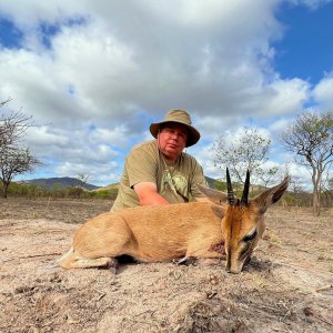 Duiker Hunt Mozambique