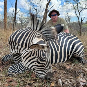 Boehm’s Zebra Hunt Mozambique