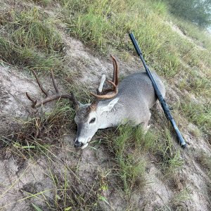 Whitetail Deer Hunt