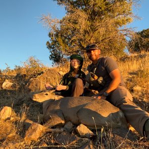 Coues Deer Hunt Arizona