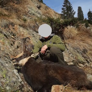 Chamois Hunt Romania