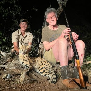 Serval Cat Hunt South Africa