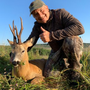 Roe Deer Hunting Romania