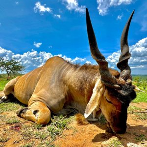 Patterson Eland Hunt Uganda