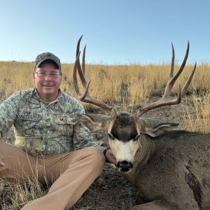 Mule Deer Hunt Nevada