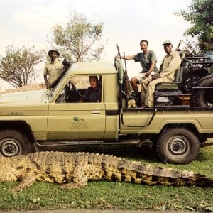 193 Inch Crocodile Hunt Zambia